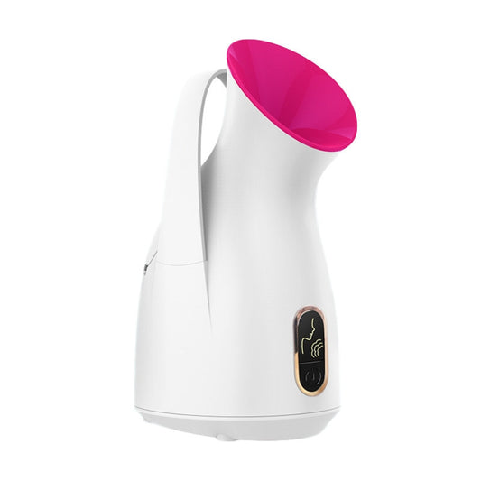 Household Nano Spray Face Steamer